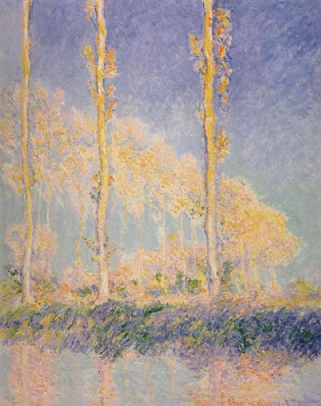 Claude Monet Three Poplars,Autumn Effect oil painting image